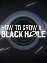 How to Grow a Black Hole